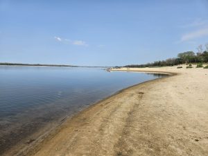 На берегу Днепра в Запорожье нашли странное вещество: экологи объяснили, что это
